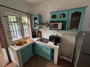 a small kitchen with blue cabinets and a sink at Tam Studio in La Gaulette