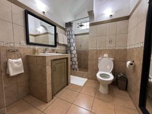 a bathroom with a toilet and a sink and a mirror at Tam Studio in La Gaulette +18 photos