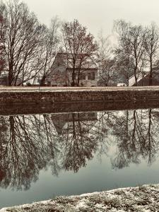 a body of water with trees and a building in the background at Casa Sandra Elisa - Studio aan water in Maasmechelen +5 photos