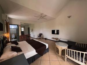 a bedroom with a large bed and a tv at Tam Studio in La Gaulette