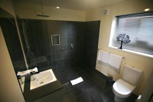 a bathroom with a toilet and a sink at New Norfolk Holiday Apartments in New Norfolk