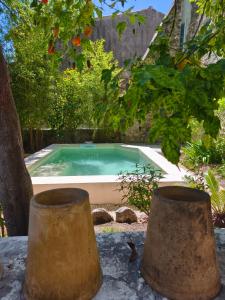 a swimming pool with two stone pots in front of it at Maison Felisa in Saint-Bauzély
