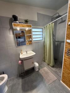 a bathroom with a sink and a toilet and a shower at Lebon Coin Tranquille in Le Tampon
