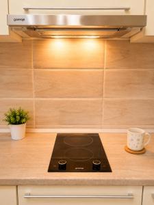 a stove top oven sitting on top of a kitchen counter at Udoban porodični apartman ViS Raška, 80m2, parking, bašta in Raška