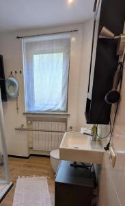 a bathroom with a sink and a toilet and a window at Ferienhaus Hilde in Steinwiesen +28 photos