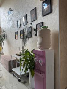 a room with a plant on top of a refrigerator at Hotel DALIM in Duliby