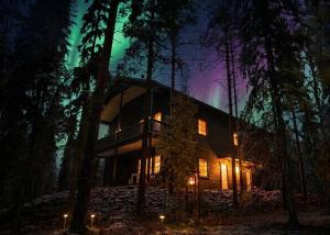 a wooden house in the woods at night at Villa Happy Fox in Rovaniemi