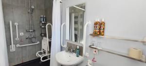 a bathroom with a sink and a mirror at Chandler's Lodge B&B in Camelford
