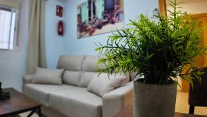 a living room with a couch and a potted plant at Ruralux Sierra Quesada in Quesada +116 photos