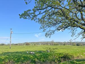 a group of animals laying in a grass field at Bradley House in Harrop Fold +10 photos