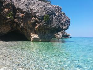 Φυσικό τοπίο κοντά σε αυτό το διαμέρισμα