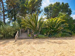 a staircase leading to a beach with palm trees at Troia Apartments in Troia