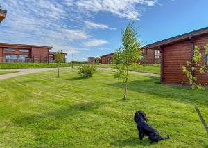 a black dog sitting in the grass in a yard at Fairview Lodges in Hollym