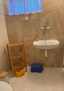 a bathroom with a sink and a shelf at Chalupa V soukromí - Chřibská in Chřibská +39 photos