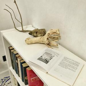 a book and a skull on a shelf with books at Eden Apartment in Anacapri +17 photos