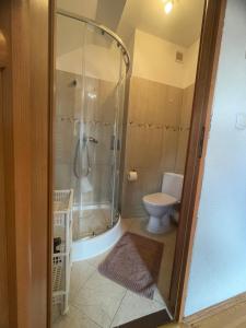 a bathroom with a shower and a toilet at Agroturystyka Świt dobry in Strzebowiska +29 photos