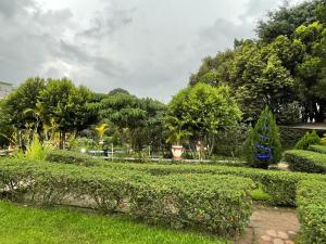 a garden with hedges and a christmas tree at Peak Park Hotel in Mbeya