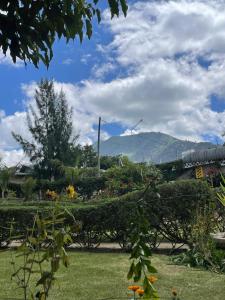 a view of a garden with a mountain in the background at Peak Park Hotel in Mbeya