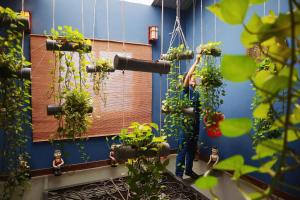 a person standing in a room with potted plants at Oriental Suites Hotel & Spa in Hanoi