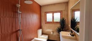 a bathroom with a toilet and a sink and a shower at Casa Las Picoteras in La Estación