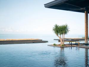 a swimming pool with two palm trees next to the water at Wood Hôtel & Spa in Saint-Gilles-les-Bains +109 photos