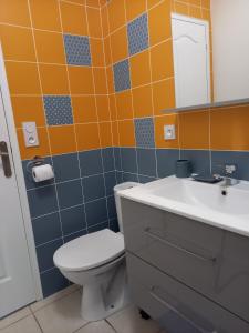 a bathroom with a toilet and a sink and a mirror at Le Marsalat - Lanton in Lanton +15 photos