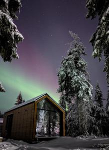 a small cabin in the snow under a night sky at Arctic Nest Forest Cabin in Kotila