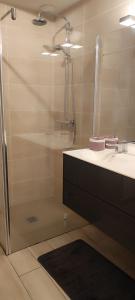 a bathroom with a shower and a sink at Jolie maison d'hôtes in Changé