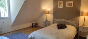 a bedroom with a bed with a pillow on it at Jolie maison d'hôtes in Changé