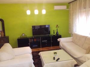 a living room with a couch and a tv at Holiday Home Hodo in Sarajevo