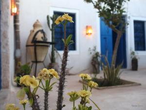 a group of yellow flowers in front of a blue door at TenasBook Houch Yassmine in Erriadh