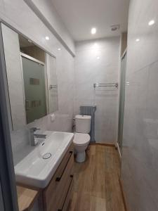 a white bathroom with a toilet and a sink at Le Conty in Saint-Jorioz