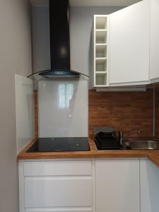 a kitchen with white cabinets and a black stove at Le Conty in Saint-Jorioz