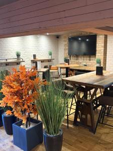 a dining room with a table and potted plants at Fuego Steakhouse and Tapas -Tomahawk Potto in Potto +21 photos