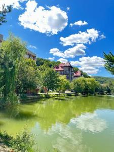 a view of a river with a building in the background at MONTE GreeN in Polyana