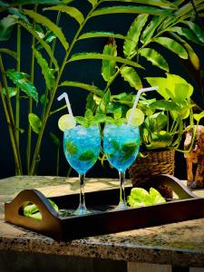 two blue glasses on a tray on a table at LEAFORA Cottage in Galle