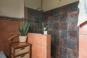 a bathroom with brown tiled walls and a plant at Home on a Hill Accommodation in Tzaneen +44 photos