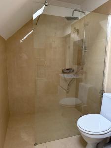 a bathroom with a toilet and a glass shower at Vanessa Home in Floreşti