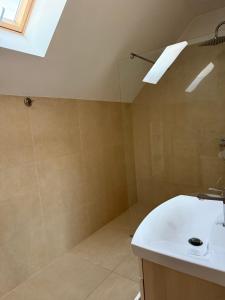a bathroom with a shower and a white sink at Vanessa Home in Floreşti