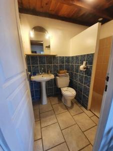a bathroom with a toilet and a sink at La ferme des Perdilles in Biran