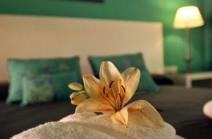 a white flower sitting on top of a bed at Hotel Spa Posada del Puerto in Gualeguaychú