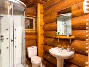 a bathroom with a toilet sink and a mirror at Craiasa Draganului in Poeni +47 photos