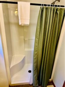 a shower with a green shower curtain in a bathroom at Glacier Highland Motel in West Glacier +22 photos
