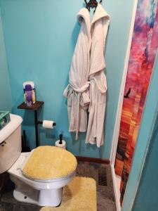 a bathroom with a toilet and towels hanging on the wall at Snugnuff in South Burlington +12 photos