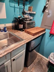 a kitchen counter with a sink and a microwave at Snugnuff in South Burlington