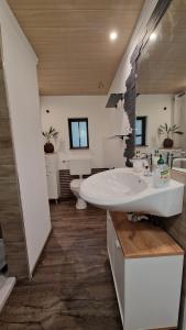 a bathroom with a white sink and a toilet at Ferienhaus Waldgeflüster in Limbach