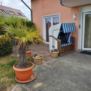 a patio with potted plants in front of a house at Dia Mare EG West in Ueckeritz +3 photos