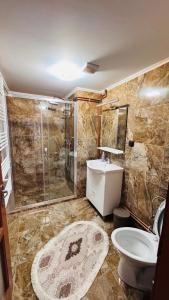 a bathroom with a shower and a toilet and a sink at Casa Izvorul Muntelui in Sadova +38 photos