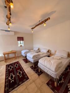 a room with four beds in a room with rugs at DANA First View Hotel in Dana