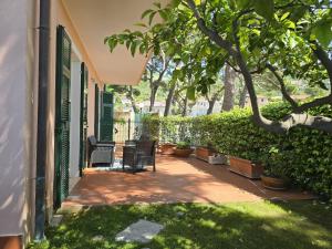 a patio with two chairs and a tree at Casa Limone by Affitti Brevi Liguria in Borgio Verezzi
